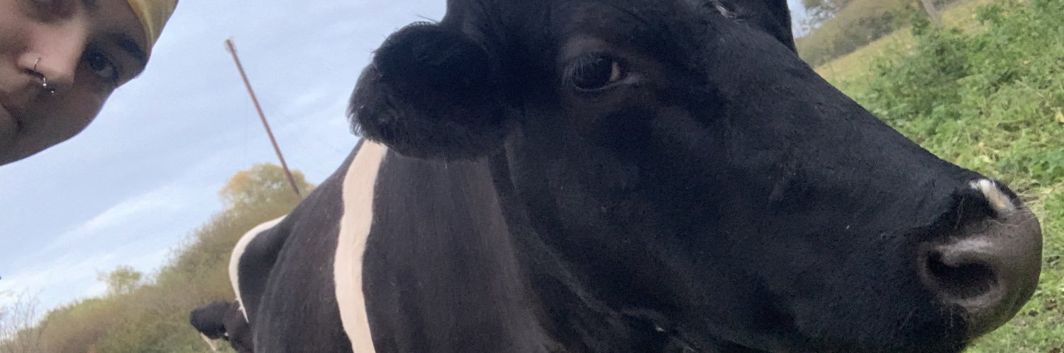 ppkfgf's profile banner image