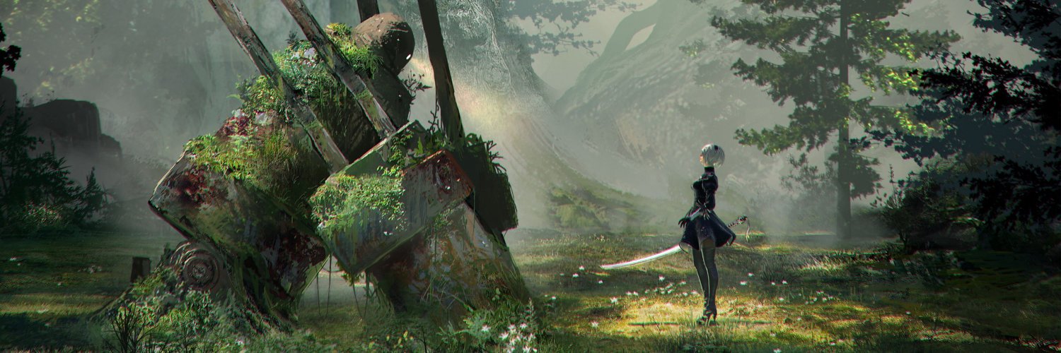 z banner