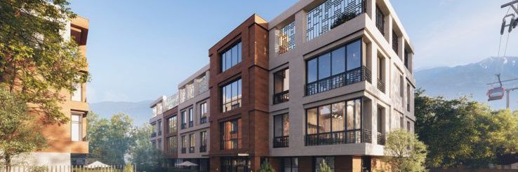 تخریبچی🌴 banner