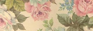 saraDiwanda's profile banner image