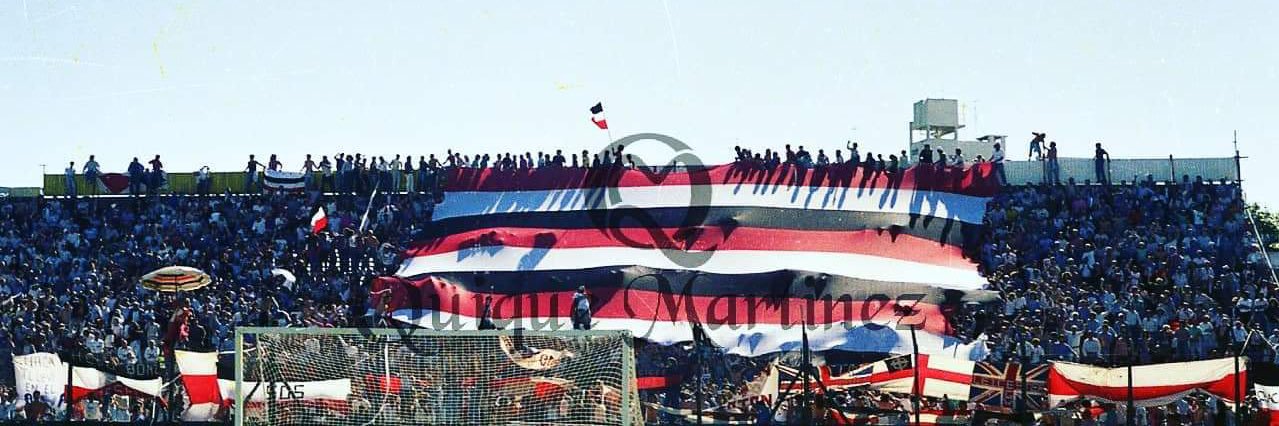Piscu banner