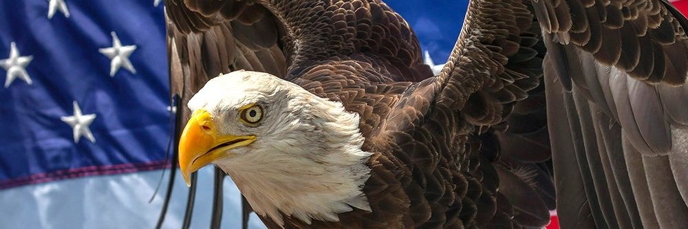 Benjamin 🇺🇸 🇵🇱 🇺🇦🇬🇪🇹🇼 banner