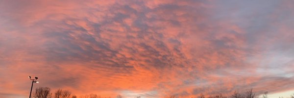 stilllearning2b Profile Banner