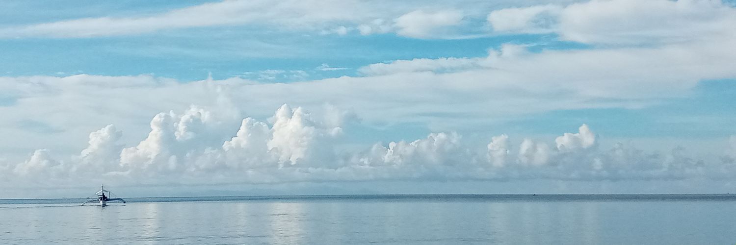 beowlsomee_'s profile banner image