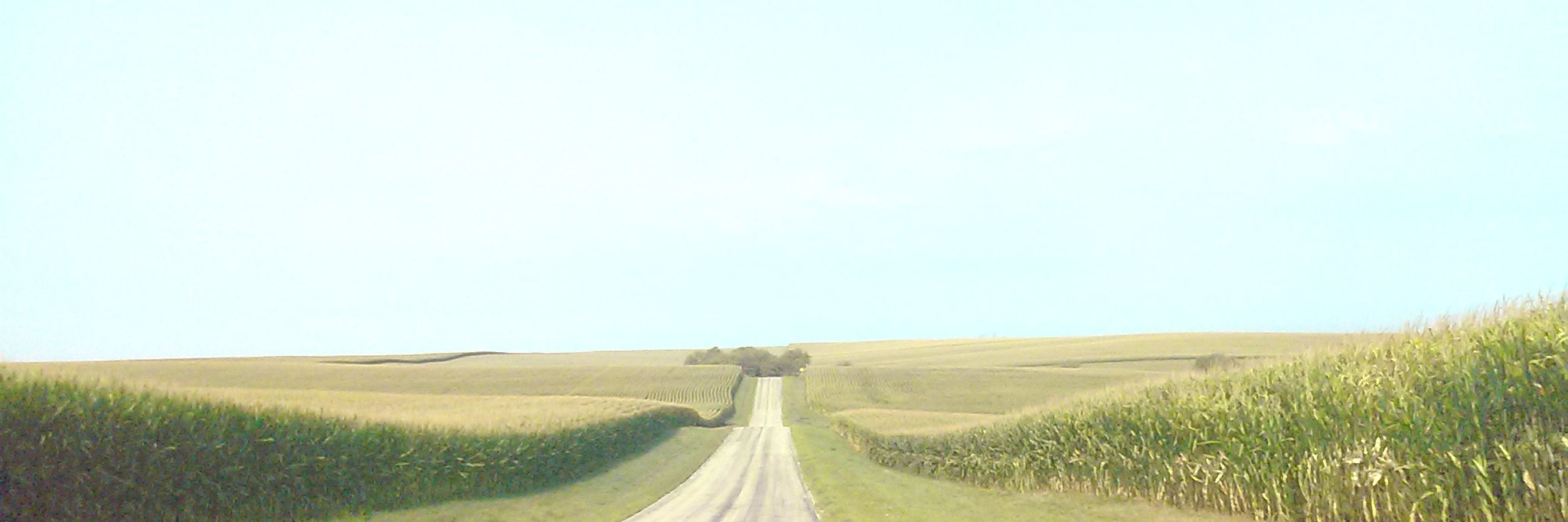 corngreencorn's profile banner image