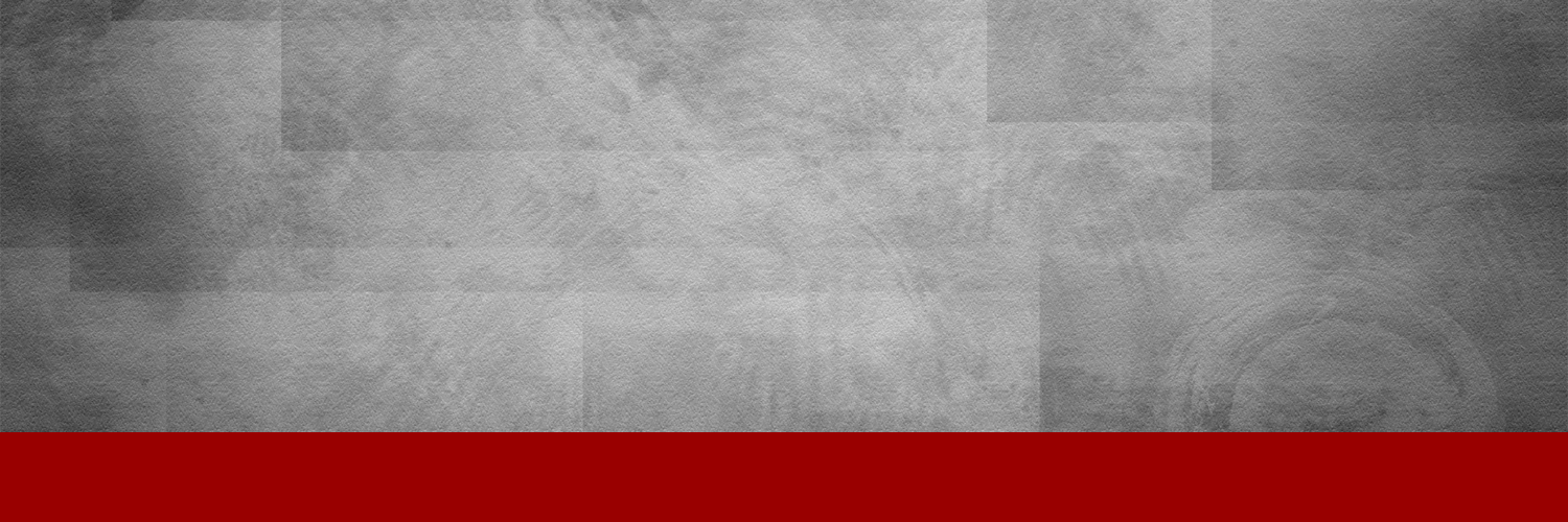 CountingLivesPT's profile banner image
