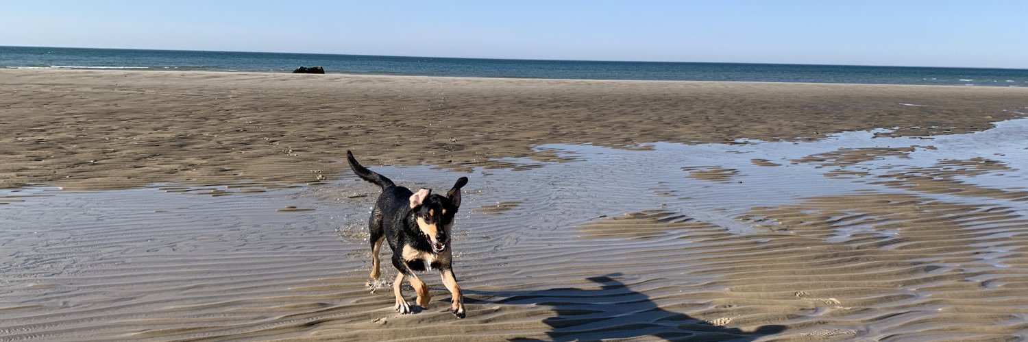 SaltyDogGroup's profile banner image
