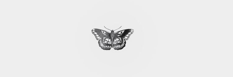 𝒅𝒊 banner