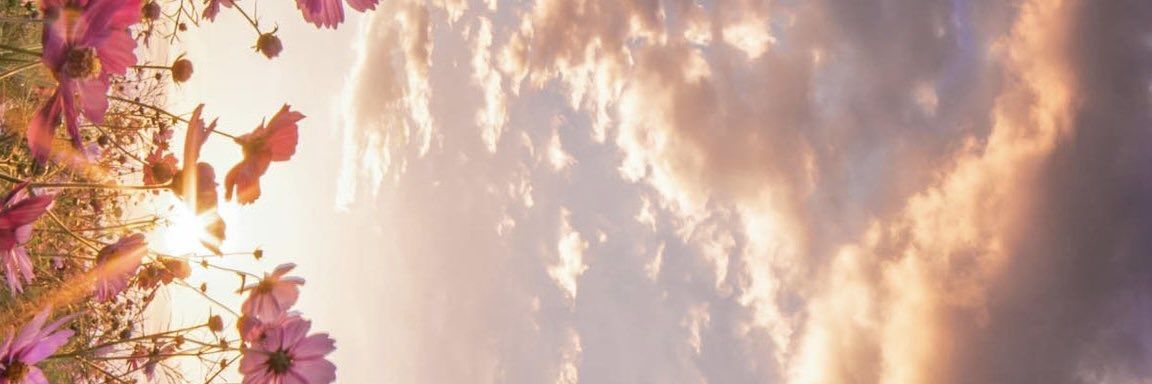 Joyland247's profile banner image