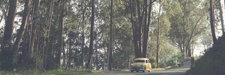 shendyppy's profile banner image