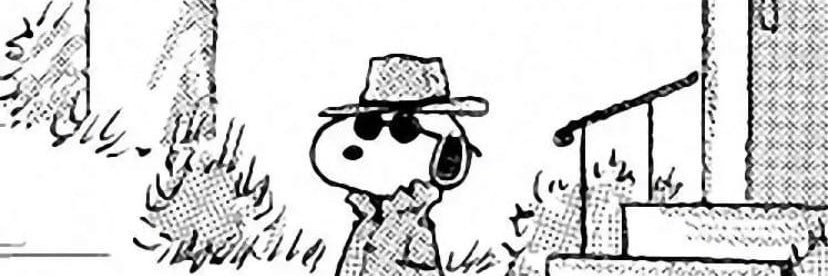 dddoopers's profile banner image