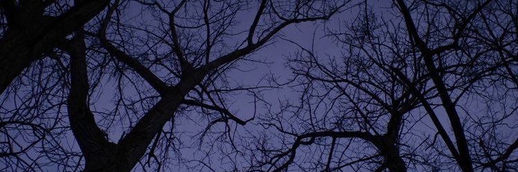 WilfreyDave's profile banner image