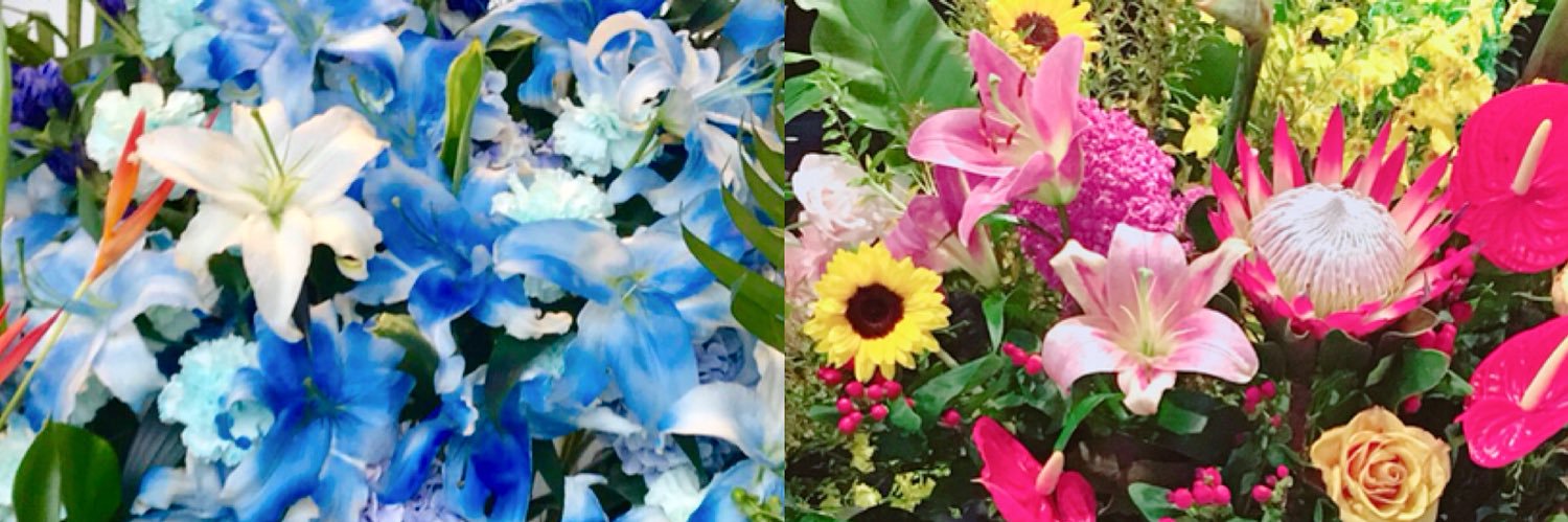 danohiko's profile banner image