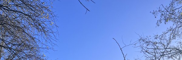 __TheJoyThief__ Profile Banner