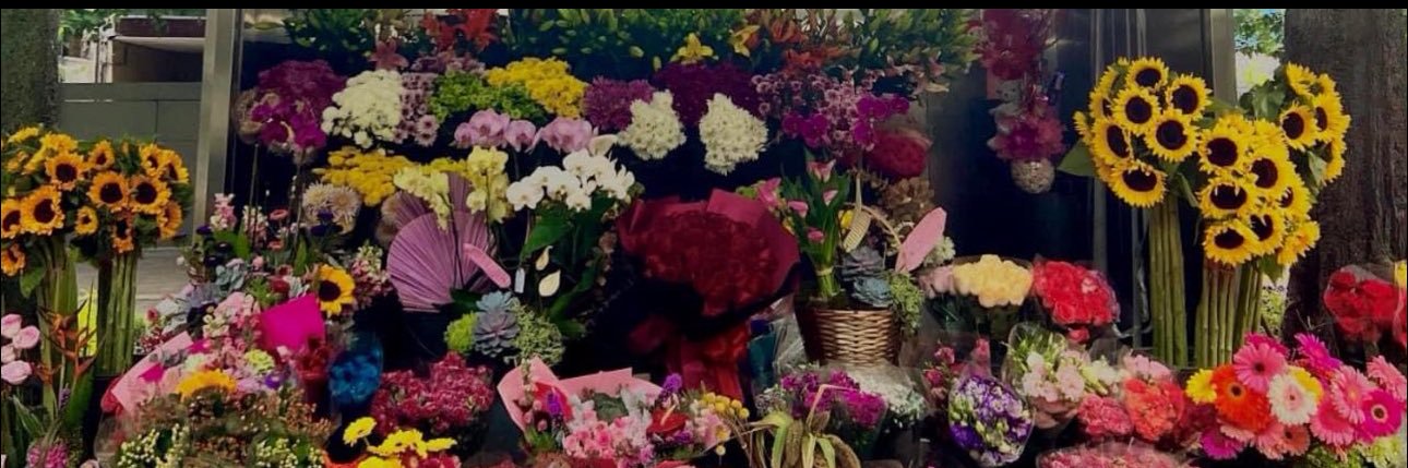 Ashleyhquez's profile banner image