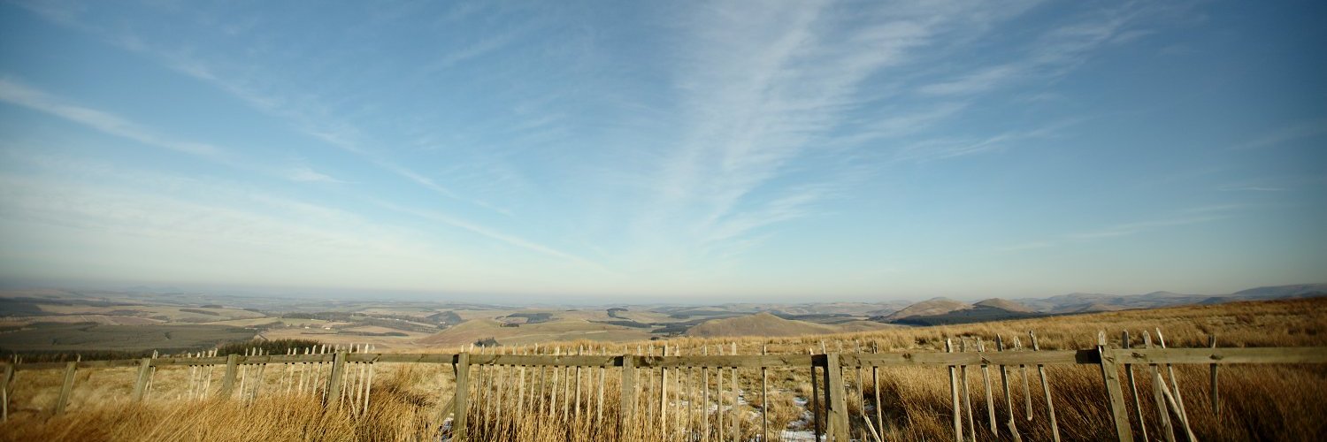 David Wilson Clarke banner