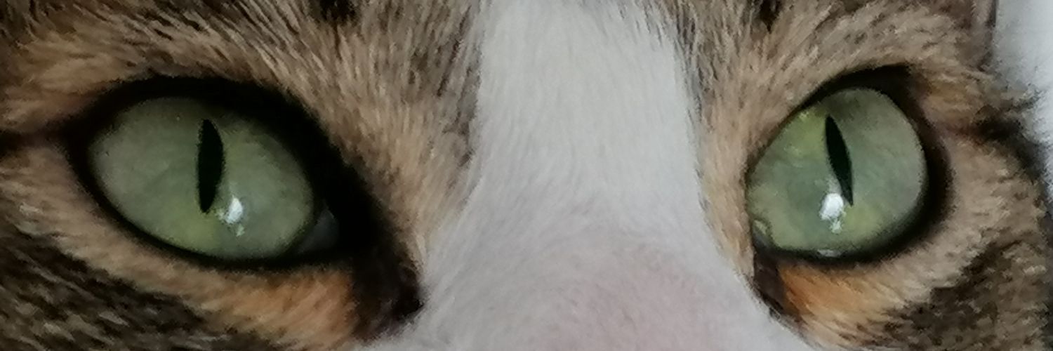 Leidyqf's profile banner image