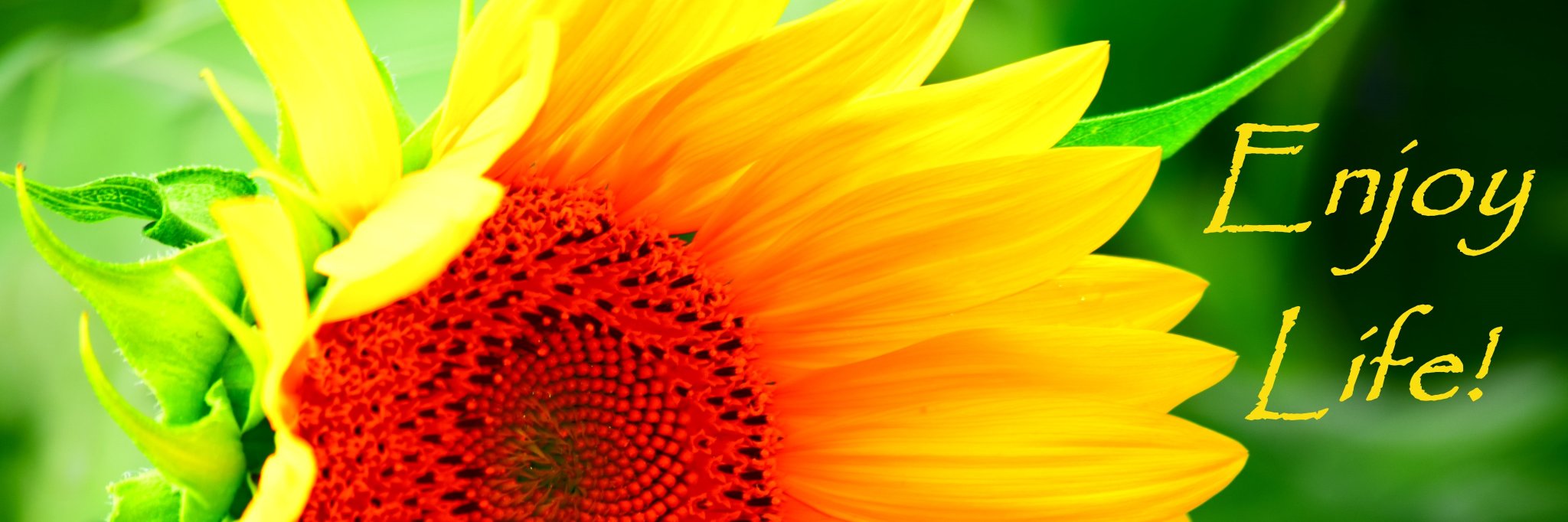 KurthBecky's profile banner image
