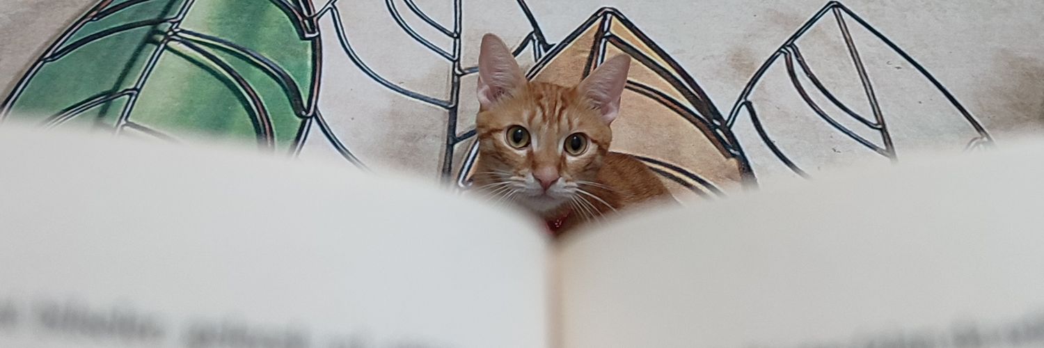 amine_akyuzz's profile banner image