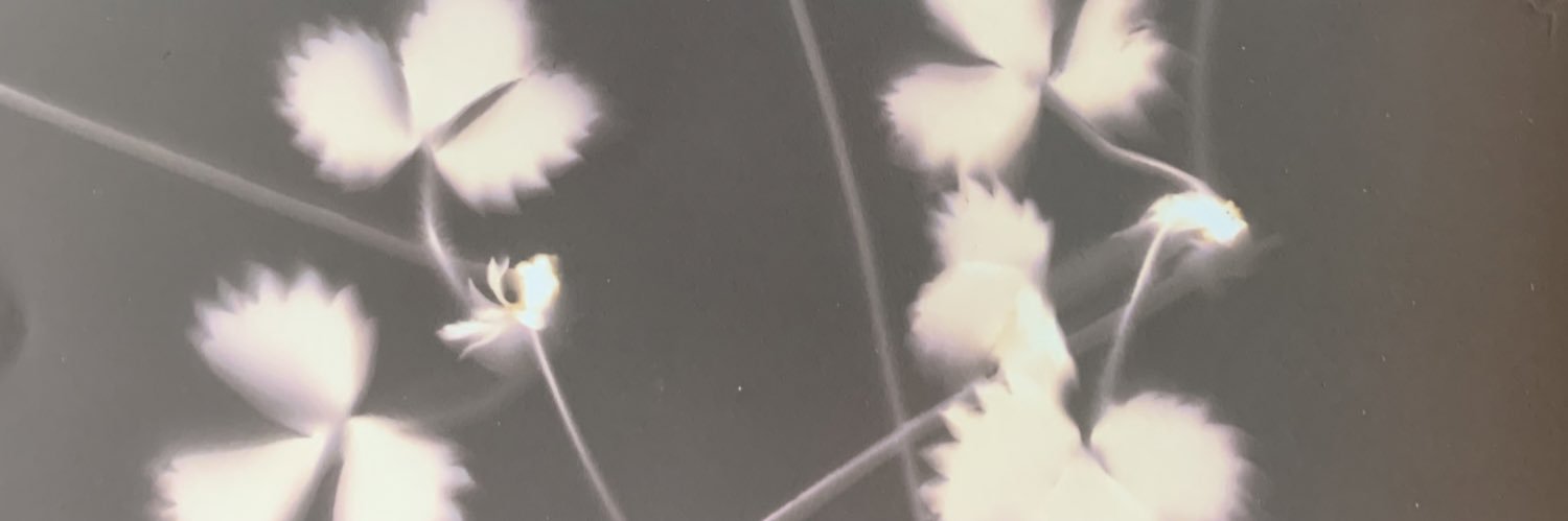 GillyEDee's profile banner image