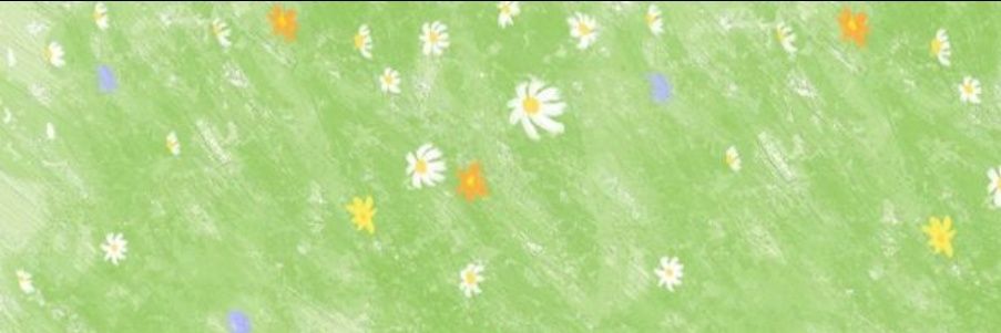 haleyjamesx's profile banner image