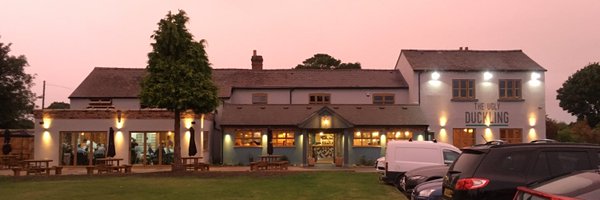 uglyducklingshr Profile Banner