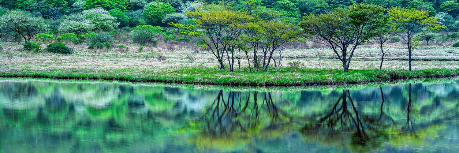 Taira Fumiyasu | Gunma photograph's banner