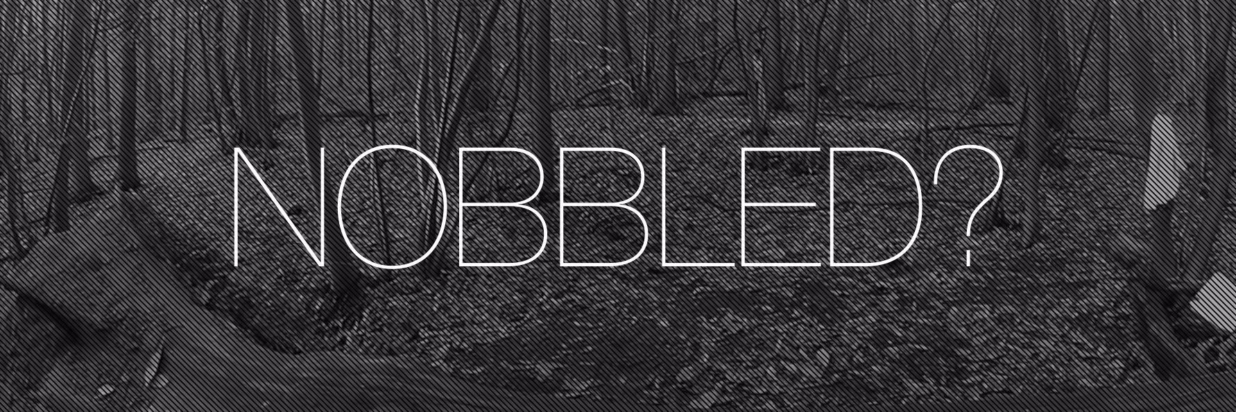 Narberth Nobbler banner