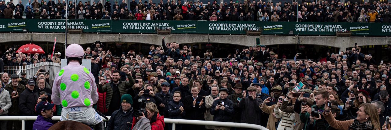 Robbie banner