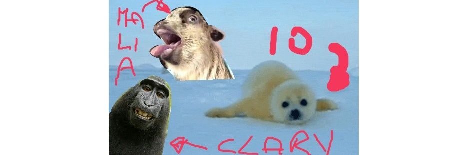 sebhapgdr's profile banner image