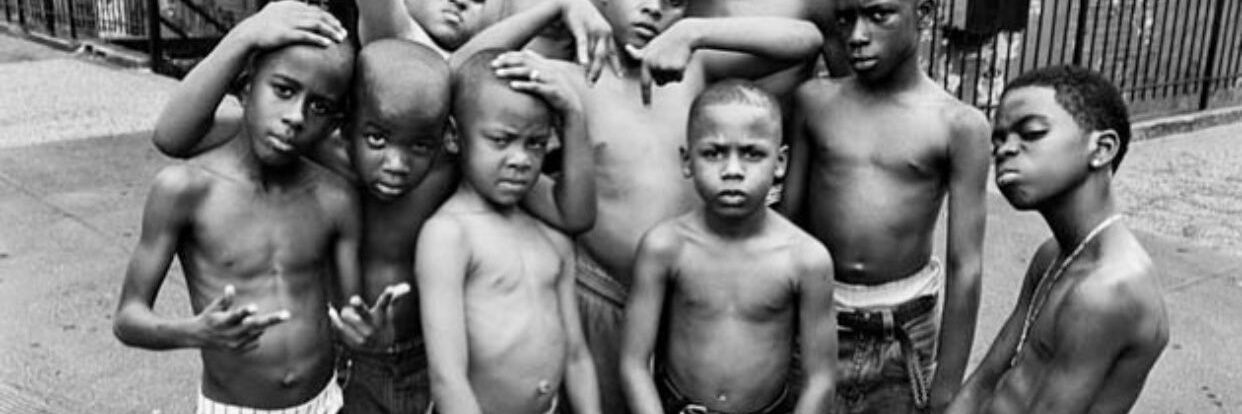 Djurtinhos 🇬🇼 banner