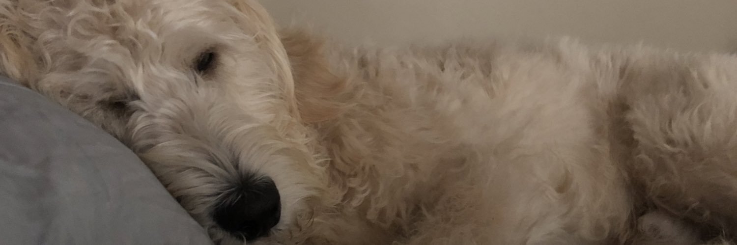 kenleighld's profile banner image