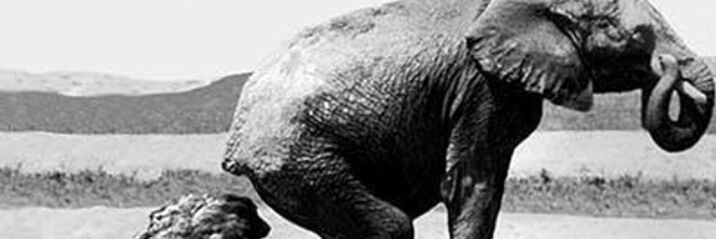 typclrepublican's profile banner image