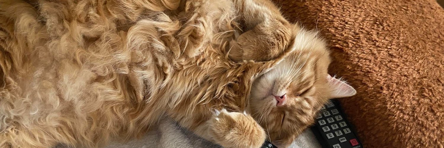 KatnipKT_'s profile banner image
