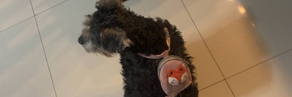 fathapriz's profile banner image