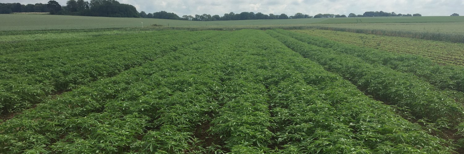 Pesquet Simon banner