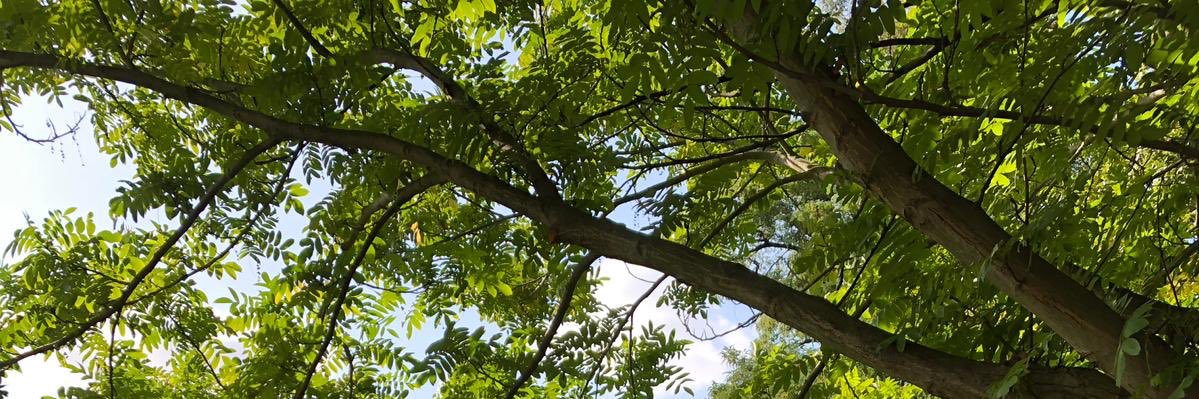 Sumu0805's profile banner image
