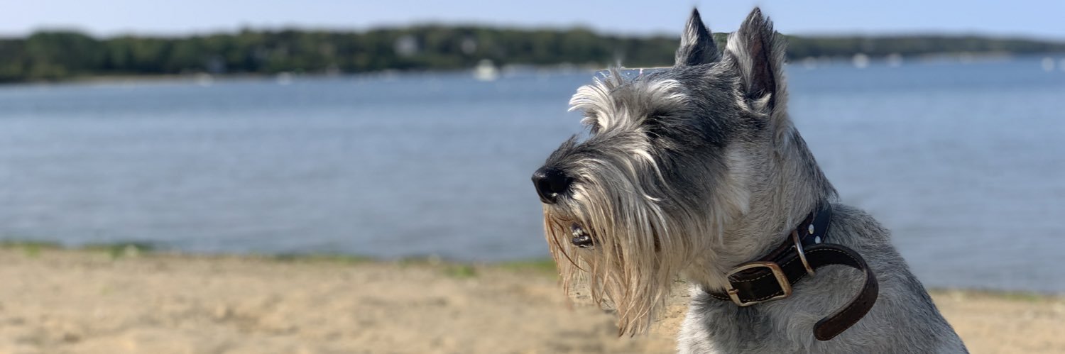 Kristin Kostka banner