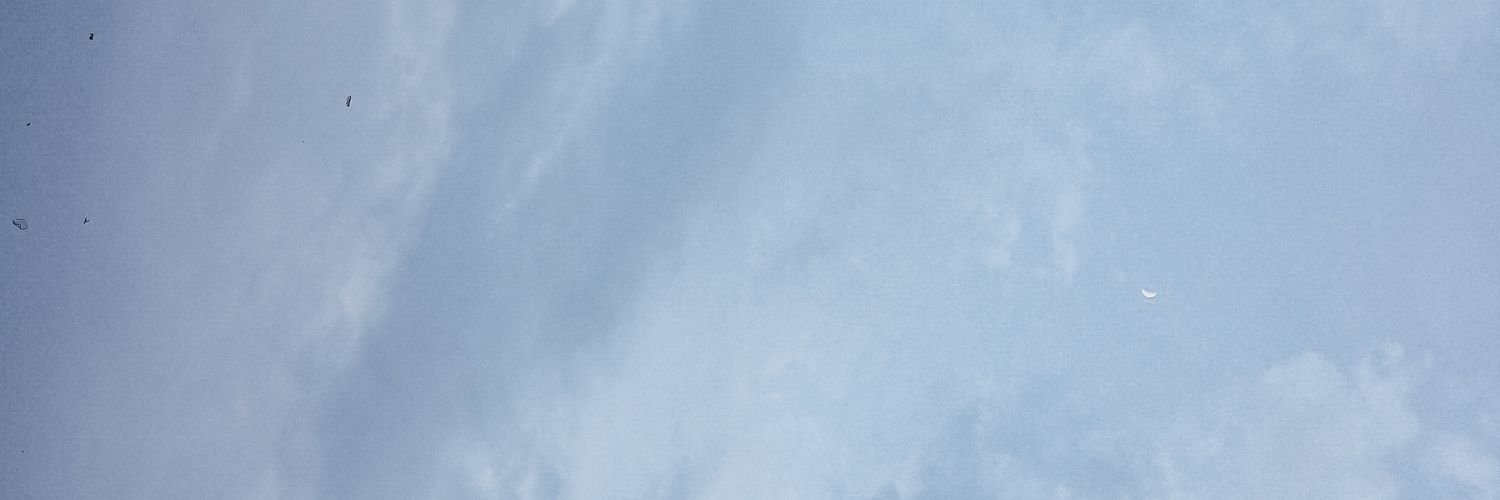 soylocks's profile banner image