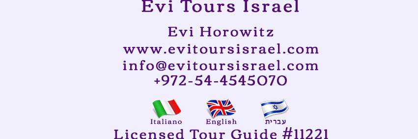 EviGuidaIsraele's profile banner image