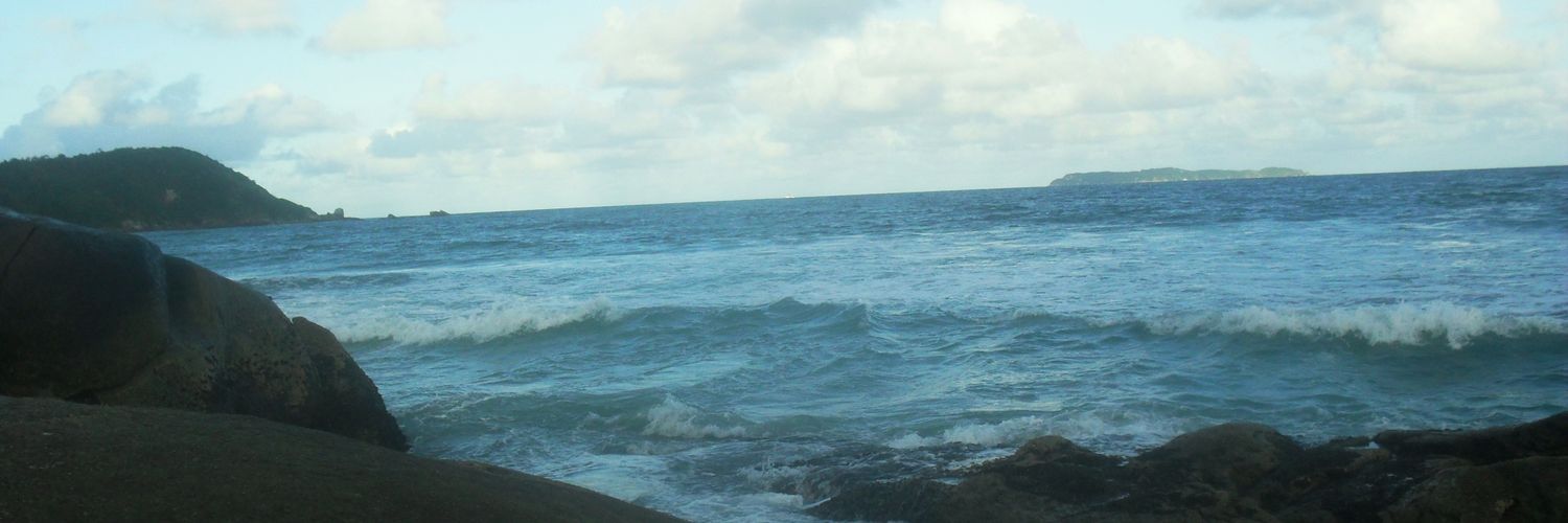zoetoledoo's profile banner image