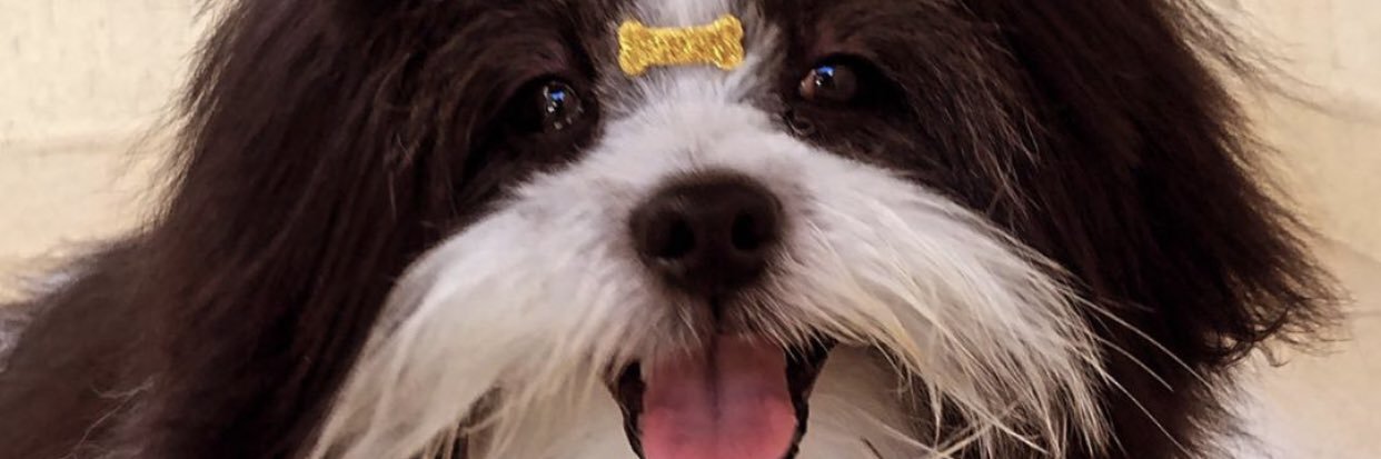 IsabelaPiresC_'s profile banner image