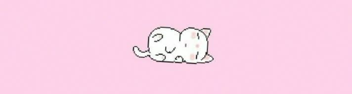 kittyflower45's profile banner image