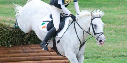 Stephanieocalla's profile banner image