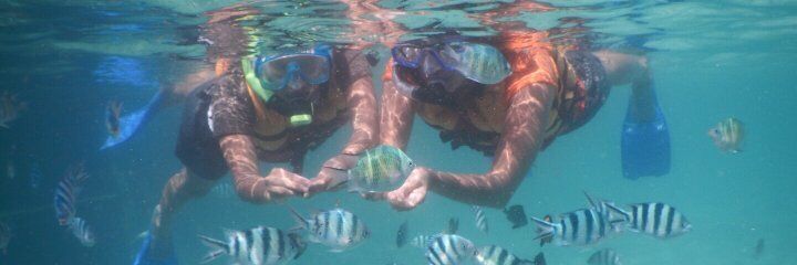 Derawan happy fun Trip banner