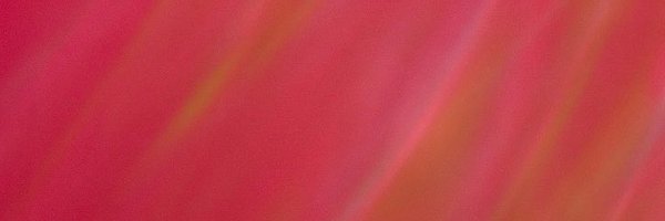 illicitghost Profile Banner