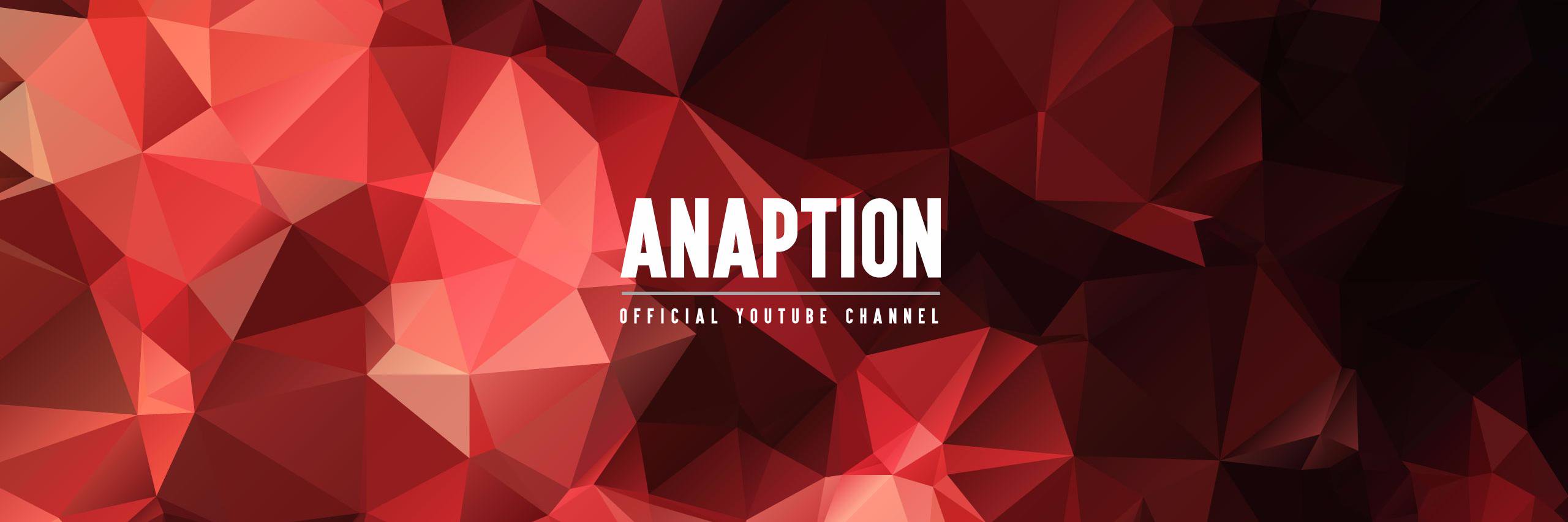 Anaption_'s profile banner image