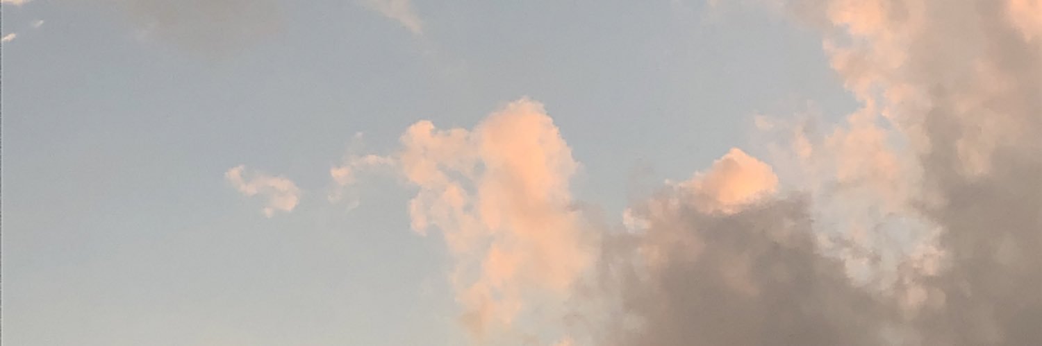 miel_2chamble's profile banner image