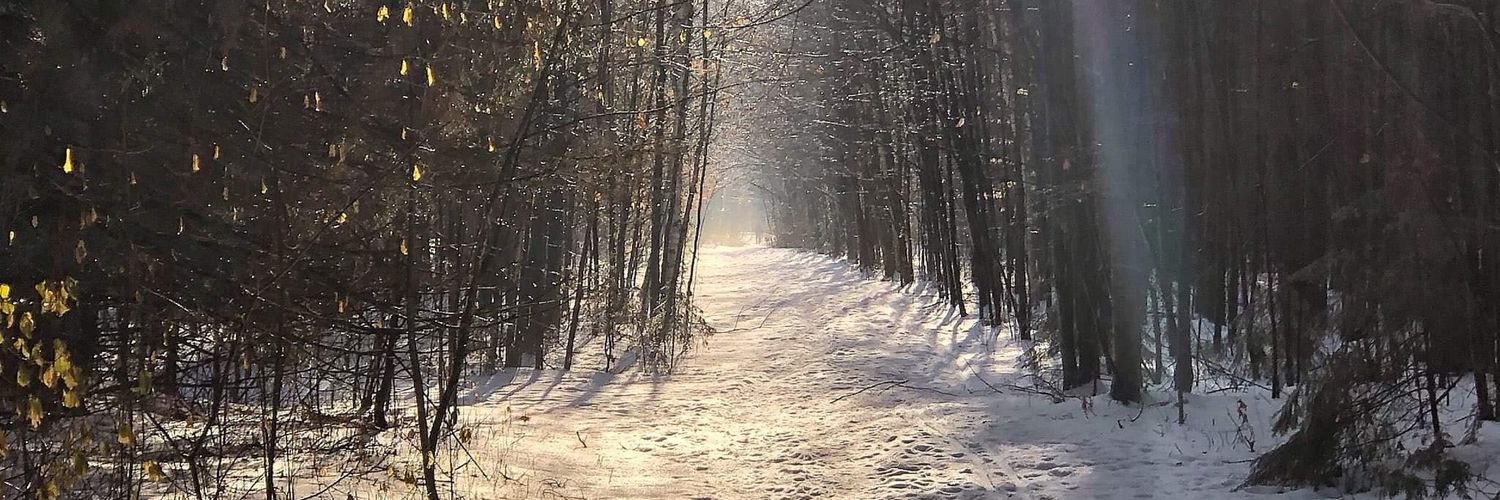 chriskal__'s profile banner image