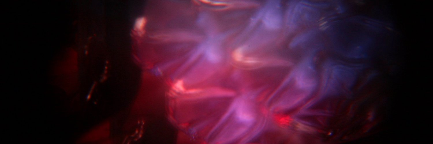 crystalcwaters's profile banner image